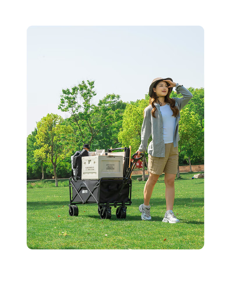 TAN XIAN ZHE Camping Cart, Outdoor Trolley, Campsite Cart, Street Vending Cart, Toddler Stroller, Grocery Shopping Cart, Dog Pet Cart 11