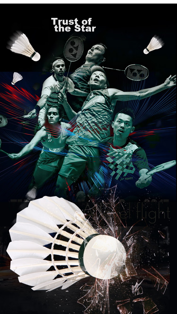 YONEX AS03 Badminton Shuttlecocks, Stable And Durable Duck Feather Shuttles, Speed 2, Pack of 12 10