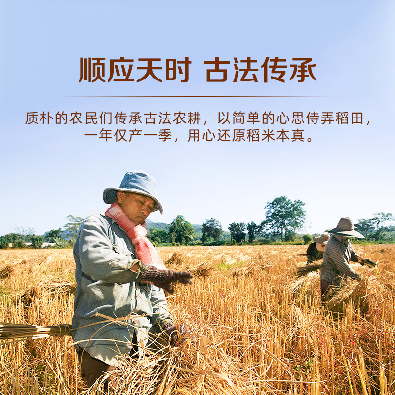 良记金轮经典泰国茉莉香米 泰国香米原装进口长粒籼米 大米20斤