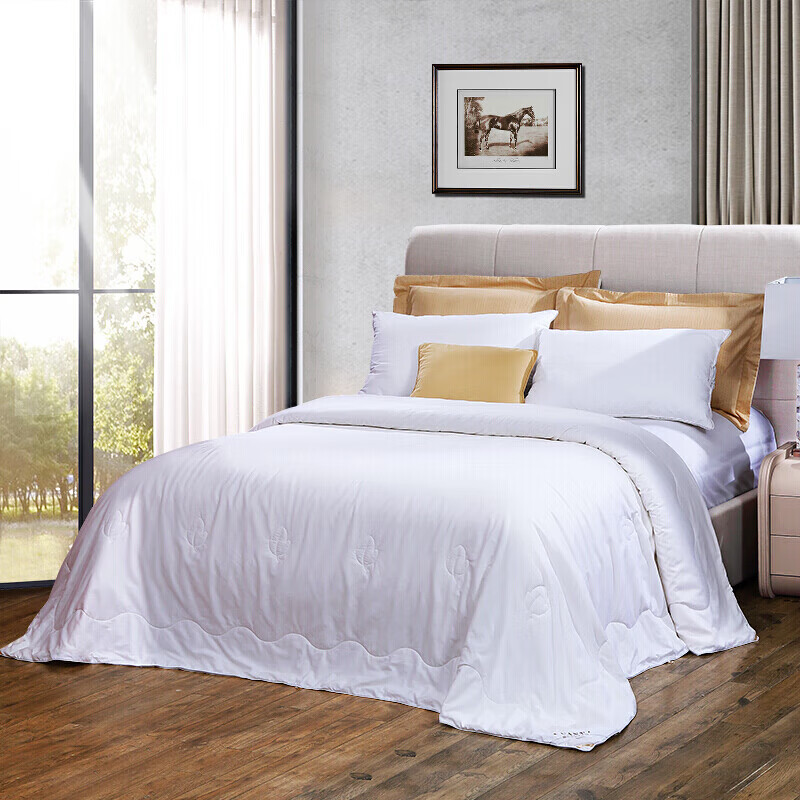 FUANNA 100% Silk Comforter, Pure Cotton Spring And Autumn Quilt, All-Season Use, Single Or Double Bed, Air Conditioning Quilt, Approximately 4.6 Jin (2.3 Kg), 203*229cm