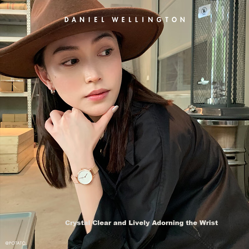 DanielWellington DW Ladies Watch, Shining Starry Sky Crystal Light Luxury European And American Wristwatch, Quartz Birthday Gift for Girlfriend DW528
