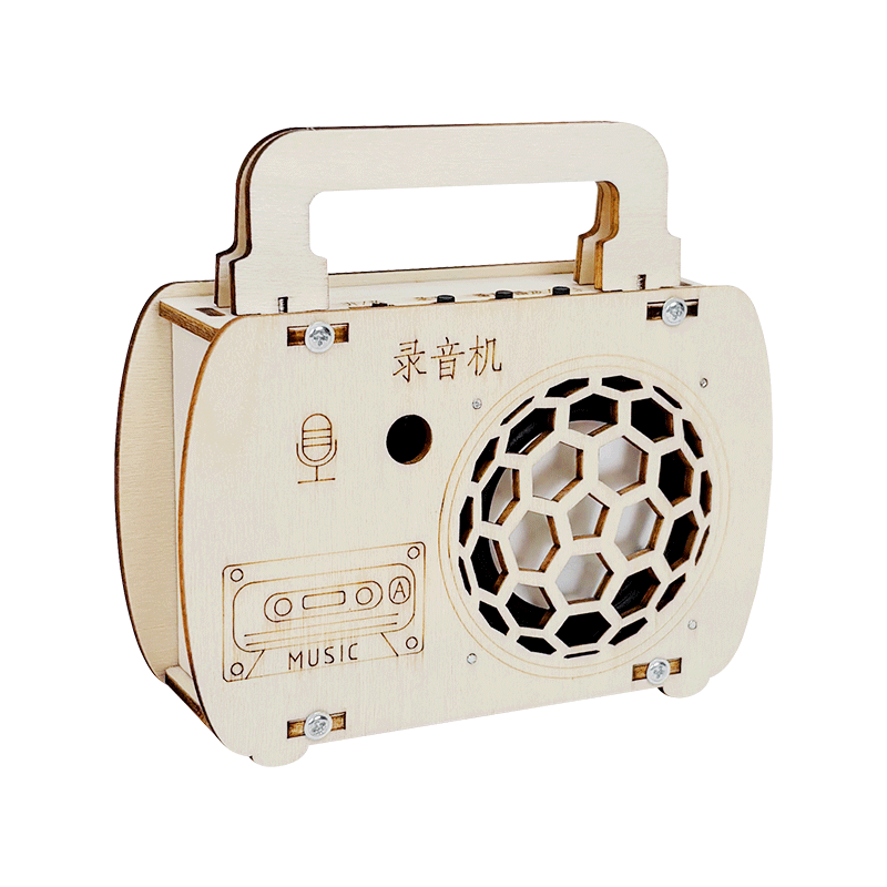 Big Eye Little Kid Voice Recorder Science Experiment Kit Children's STEM DIY Toy Birthday Gift for Boys and Girls