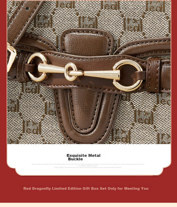 RED DRAGONFLY 2026 New Women's Handbag Crossbody Shoulder Bag Square Bag Gift Box Set for Girlfriend Or Mother's Birthday Present 5