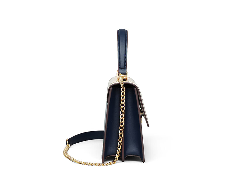 C.BANNER Leather Handbag for Women, Tote Bag, Shoulder Bag, Crossbody Light Luxury Chain Bag Brand Birthday Gift for Girlfriend on May 20 13