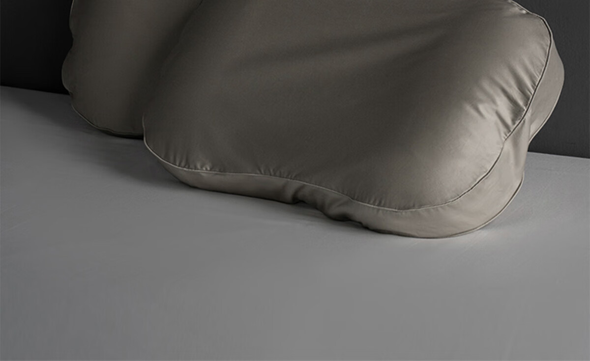 SIDANDA Partition down Pillow, 95% Goose down Pillow, Single Pillow Core, 100 Count Pure Cotton, Antibacterial Cervical Pillow, Low Pillow 17