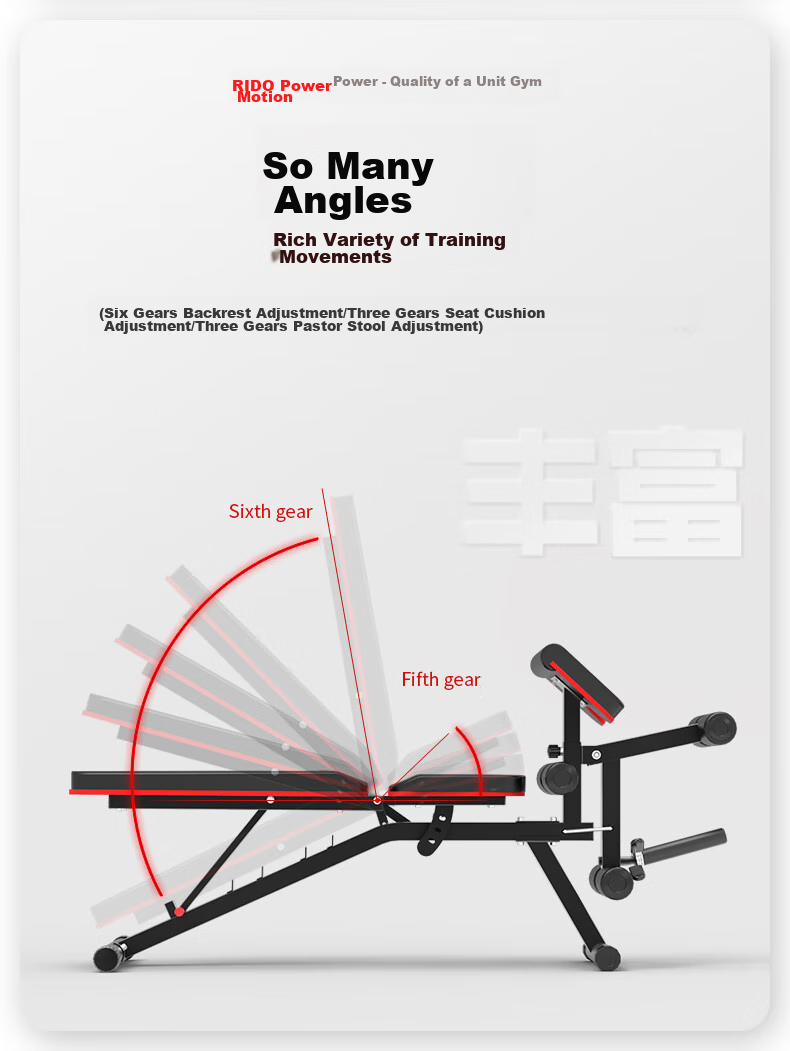 RIDO Multifunctional Dumbbell Bench, Bench Press Bench, Home Fitness Equipment, Exercise Chair, Fly Bench TD50 13