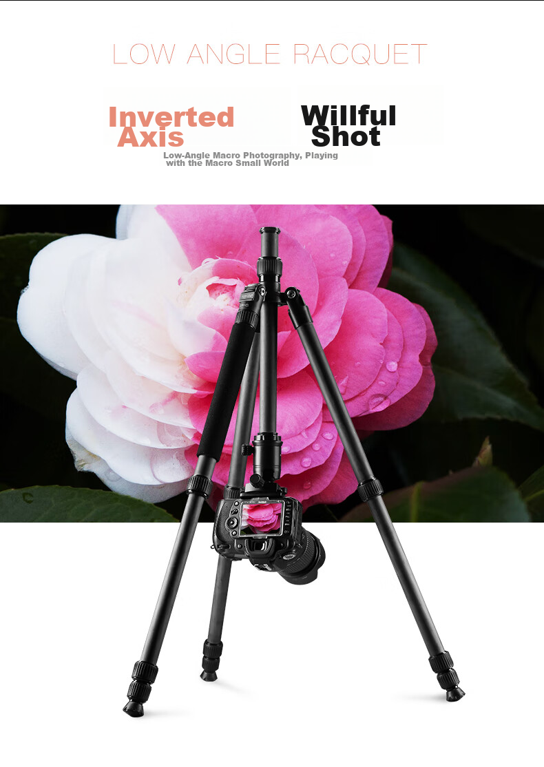 Weifeng WF-C6620A, Eight-Layer Carbon Fiber Tripod, Mirrorless And DSLR Camera Photography And Video Tripod, Portable Travel Tripod, Selfie Live Streaming Outdoor Floor Stand 12