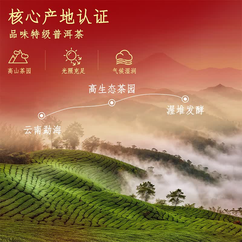 忆江南特级普洱茶叶礼盒300g勐海熟普送礼送父母长辈礼物福至