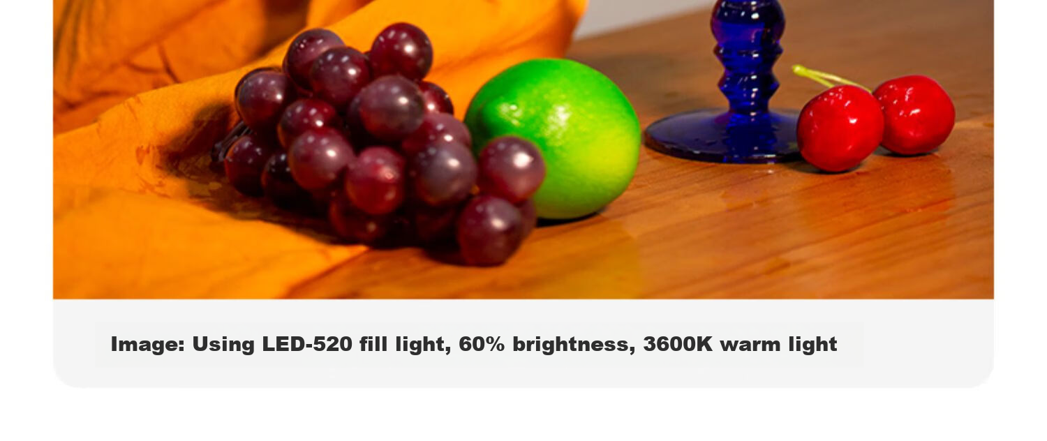 Sidande LED 520 Fill Light, Handheld Photography Fill Light, Portable LED Panel Light for Cameras, 37W Dual Color Temperature Adjustable, DSLR Shooting, Restaurant Food Photography, Portrait Lighting 13