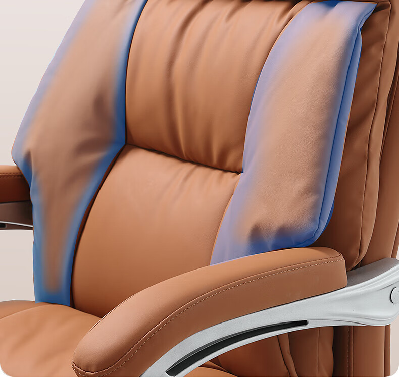 Guquan Ergonomic Office Chair, Computer Chair, Reclining Chair, Comfortable for Long Sitting, Executive Chair, Home Chair C570 Black 12