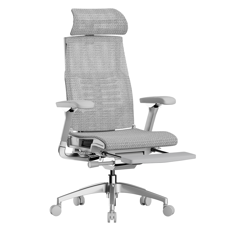 Ergonor Pofit 2 Ergonomic Office Chair Computer Chair Gaming Chair Silver White Mesh + Reclining Cushion