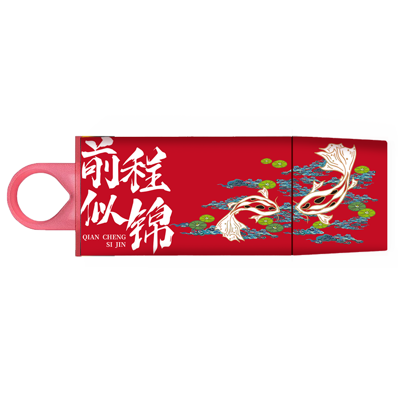 Kingston 256GB USB3.2 Gen 1 Flash Drive, DTX Personalized "Bright Future" Printed Editio