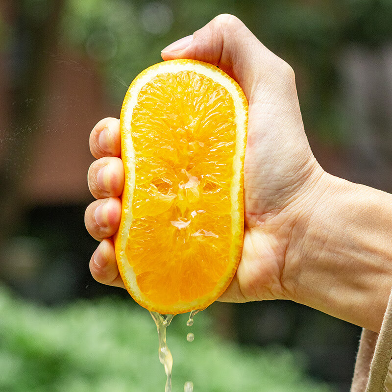 京鲜生 当季鲜橙 钻石果 净重10斤 单果230g起 生鲜橙子水果礼盒