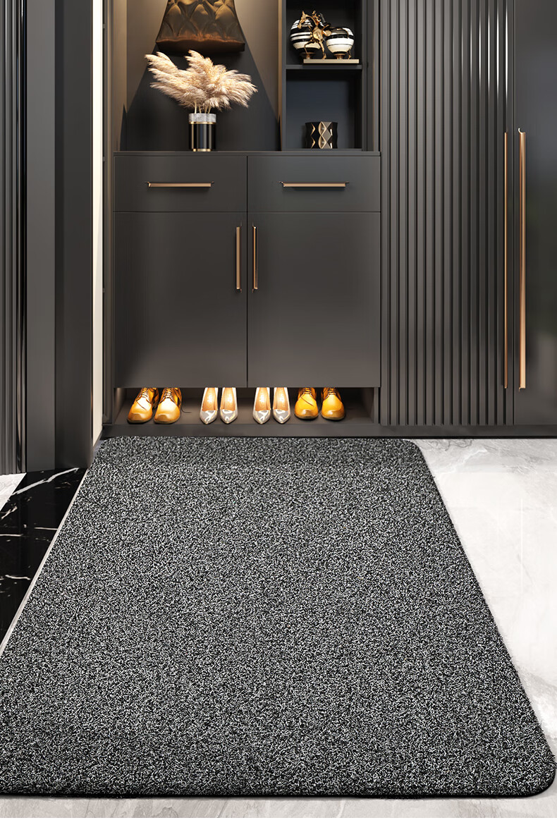 Dajiang Entrance Door Mat, Indoor Foot Mat, Entryway Doormat, Outdoor Dirt-Scraping Mat, 77x120cm 2