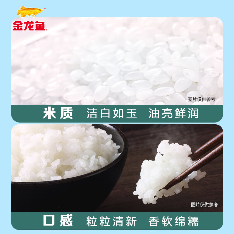 金龙鱼 苏北大米 软香稻大米 臻选软香稻 10斤