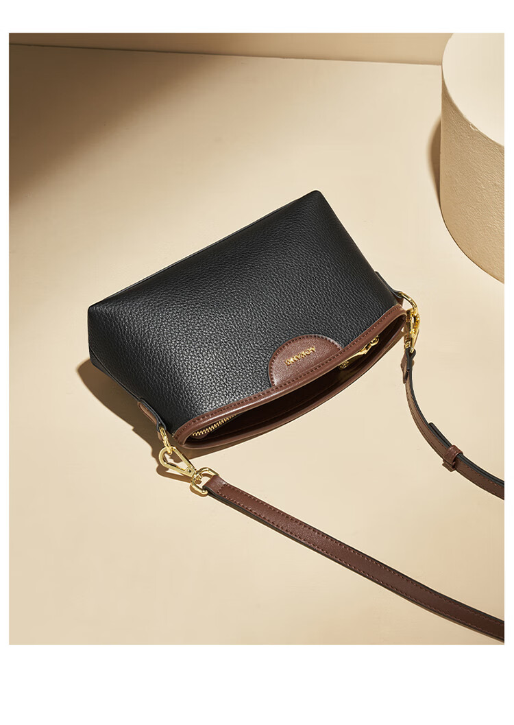 Aokang Women's Handbag, Trendy Top-Grain Leather Small Square Bag, Light Luxury Crossbody Shoulder Bag, Birthday 520 Gift for Girlfriend Or Wife 8