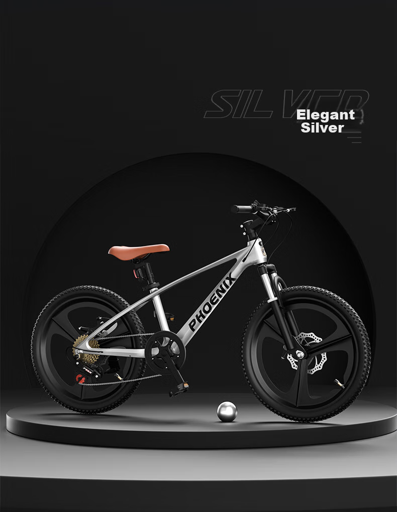 Phoenix Children's Bicycle for Ages 6-15, Elementary School Students, Older Children's Bike, Boys And Girls Model, Land Rover Integrated Wheel, Warrior Gray, 22 Inches 19