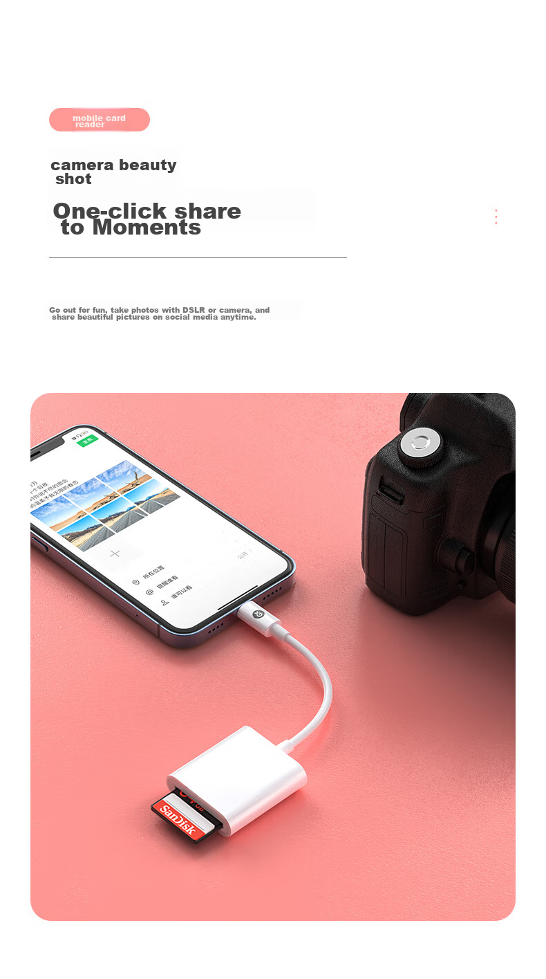 BIAZE Lightning Four-In Card Reader, OTG SD TF Card Converter, IPhone IPad TF to SD Card Adapter, Lightning Card Reader, High-Speed Transfer 7
