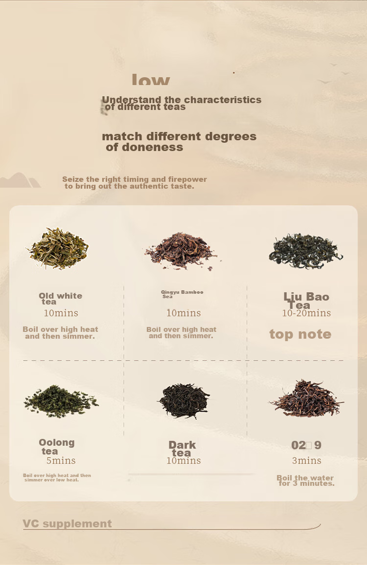 Bear Electric Ceramic Stove Mini Tea Brewing Pot for White Tea, Black Tea, Pu'er And Health Tea, Compact Multi-Functional Home Use Quiet Cooking Tea Brewing Pot J13Z5 3