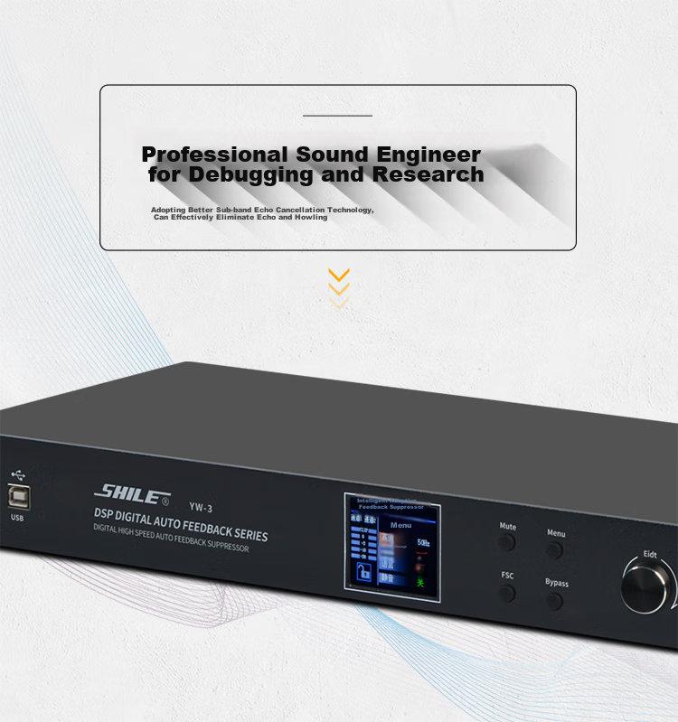 SHILE YW-3 Professional Feedback Suppressor, Professional Microphone, Automatic High-Speed KTV, High-Power Audio Equipment, Conference Room Gooseneck Microphone, Anti-Howling Processor 2