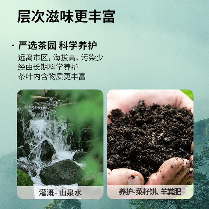 卢正浩绿茶痴茶钱塘龙井茶叶特级120g2025年新茶明前茶叶礼盒长辈送礼