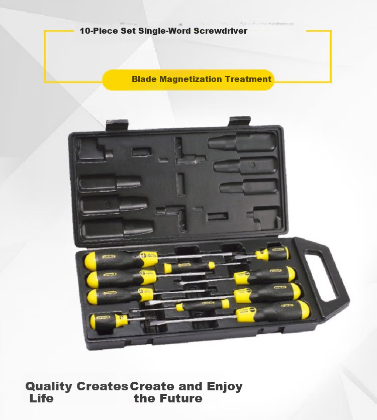 STANLEY Screwdriver Set with Plastic Handle, Phillips And Flathead Bits, 10-Piece Set, 65-005C 1