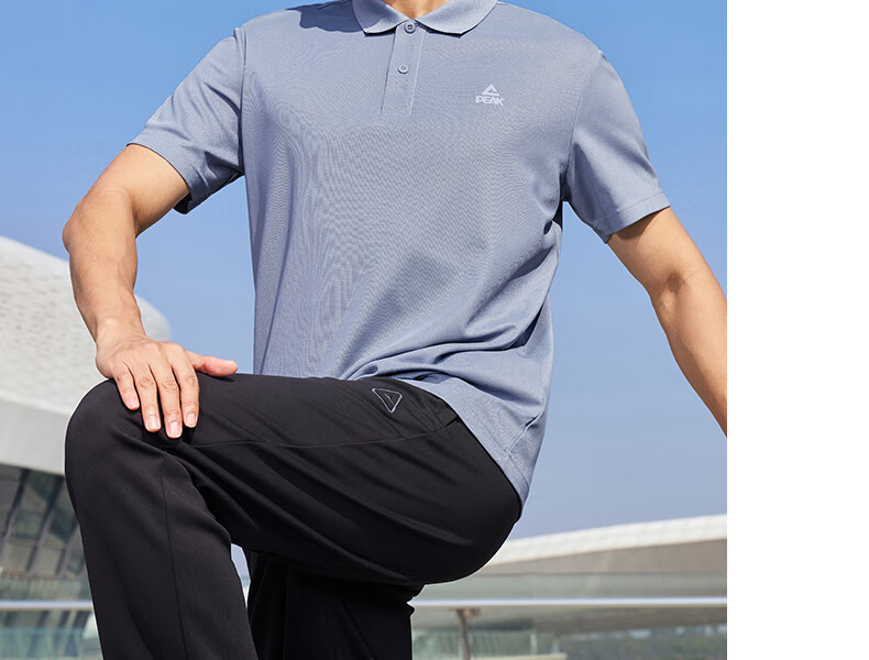 PEAK Polo Shirt for Men, Summer New Style, Sports Fitness Business Top, Breathable Casual T-Shirt, Loose Short Sleeve DF652241 23