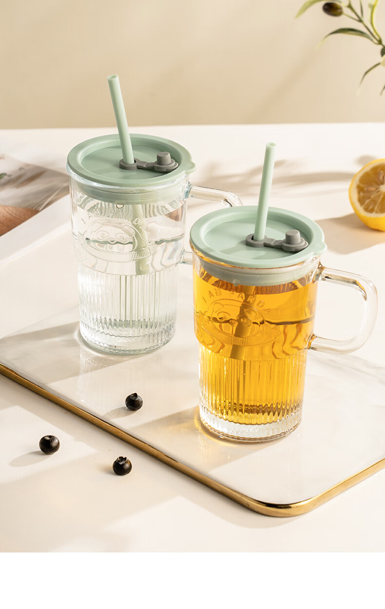 CAIZHI Glass Cup with Lid And Handle, Office Water Bottle with Straw, Large Capacity Cup, Transparent Mint Green CZ6940 16