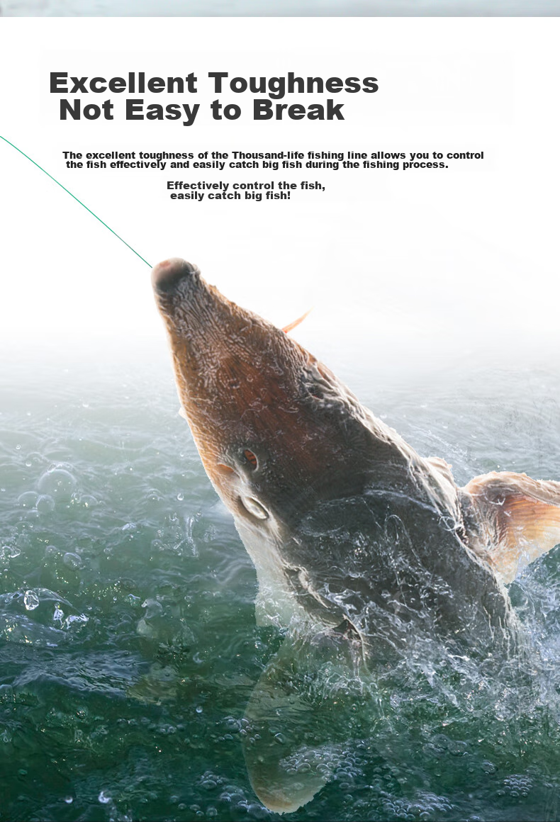 Qianshou Big Fish Line, Sturgeon Line, Mackerel Line, Giant Fish Line, 100-Meter Ultra-High Tensile Strength, Platform Fishing Nylon Line 6