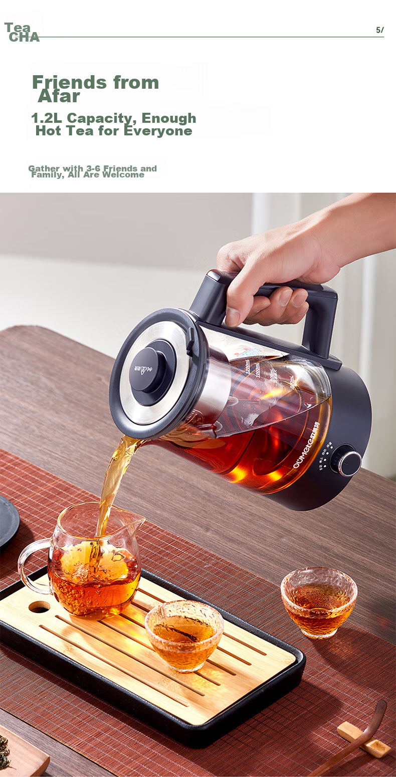 OUMETE Tea Kettle, Tea Maker, Spray-Type Steam Kettle, Health Pot, Glass Constant Temperature Insulated Tea Brewing Kettle OMT-PC1016A (Double Mesh) 8