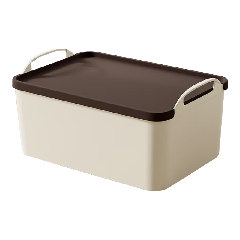 Baicaoyuan Portable Desktop Storage Box, Organizer for Miscellaneous Items And Snacks, Storage Container, Kitchen Toy Box with Lid, Light Large Size, Milk Coffee Color