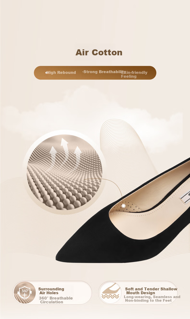 73Hours Celebrity-Inspired Women's Shoes, Brittany Upgraded New Comfortable Thin High Heels, Commuter Shallow-Mouth Women's Pumps 6