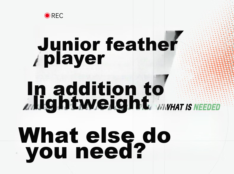 Li-Ning Badminton Shoes, Bopan Yun Men's And Women's Models, Non-Slip, Wear-Resistant, Shock-Absorbing, Ultra-Lightweight, Breathable, Competition Training Shoes, Sports Shoes 12