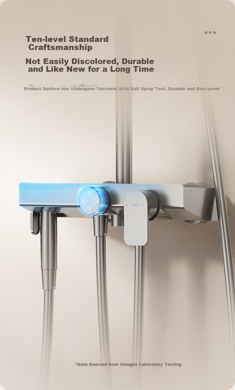 HEGII Shower Set S3, Descaling Self-Cleaning Top Spray Head, Large Storage Shelf, Bathroom Bathing, HMF936-333 12