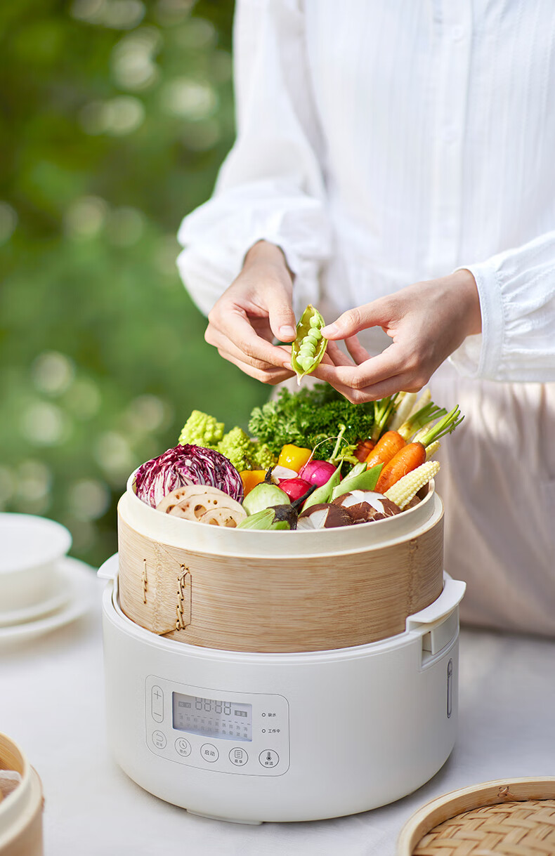 Olayks Steamer Bamboo And Wood Steaming Pot Electric Steamer Multi-Functional Breakfast Machine for Home Use Quick Heating No-Drip Timer Adjustable Temperature Upgrade Version 2-Layer 17