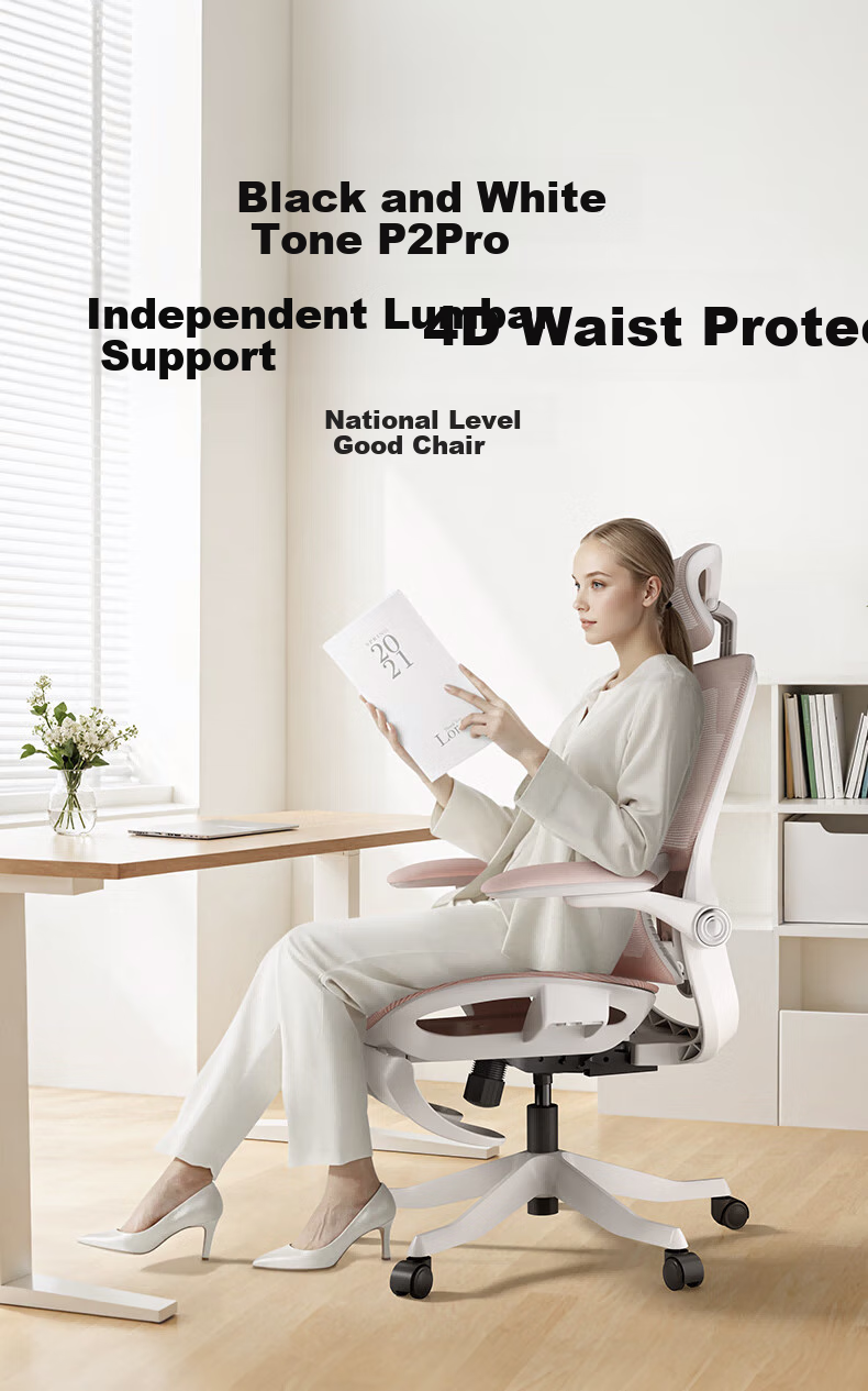 Hbada P2Pro Ergonomic Chair, Computer Chair, Ergonomic Seat, Office Study Gaming Chair, Desk Chair 3