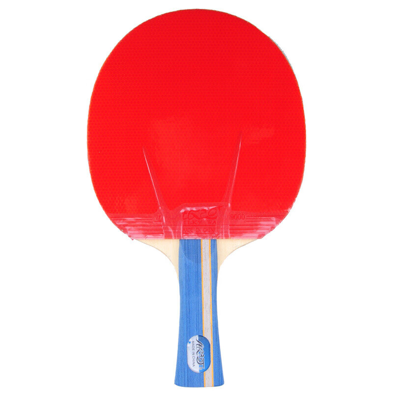 YINHE Table Tennis Racket, Penhold Grip, Pair of Rackets, 5-Star Rating, Double-Sided Reverse Rubber, Offensive Style, 05 with Racket Case