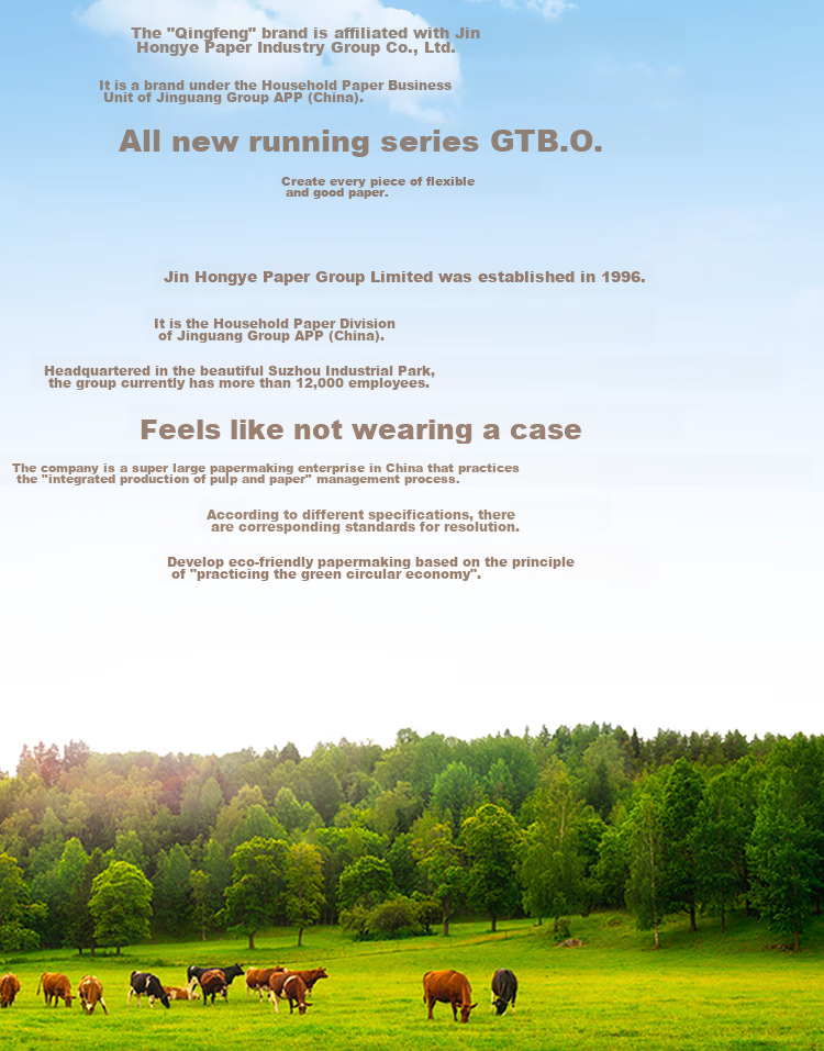 Qingfeng Coreless Toilet Paper, 4-Ply, 85g*30 Rolls, Baby Wipes, Maternity Paper, Bathroom Tissue, Sanitary Paper, Whole Box B0208MFY 9