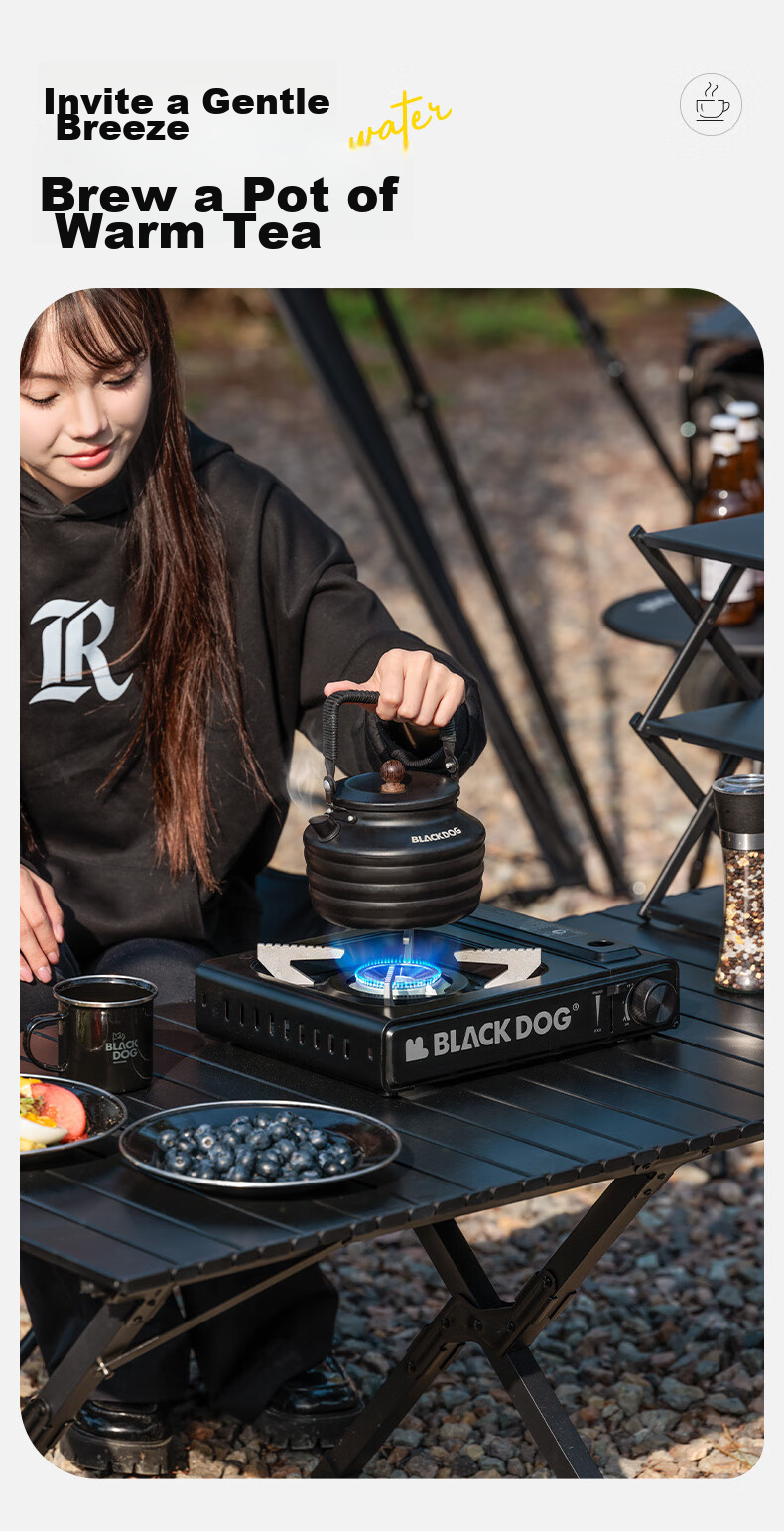 Black Dog Seven-Star High Flame Explosion-Proof Seven-Core Seven-Burner Gas Stove with Storage Box 4