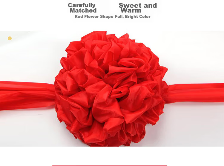 Jiayan Ribbon Streamers, 5 Pieces, for Mid-Autumn Festival, Sports Events, Housewarming, Grand Opening, Kindergarten, School Activities, Classroom Decoration, And Team Building 4