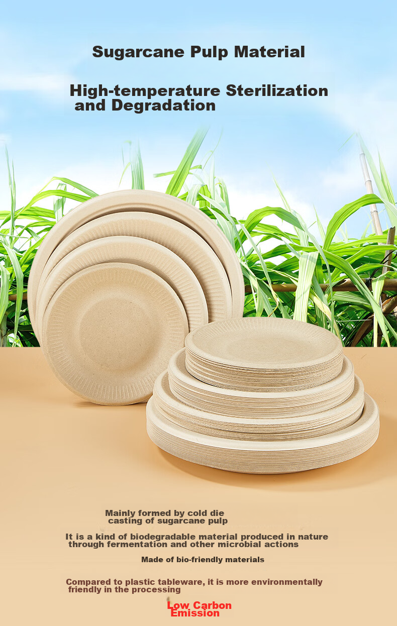 LANZIRAN Disposable Sugarcane Biodegradable Paper Bowls, 40 Count, 500ml Capacity, for Picnic, Camping, Outdoor Barbecue Use 3
