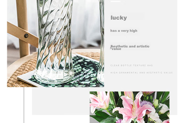 Jidukongjian Glass Vase, Living Room Decoration, Desktop Ornament, Hydroponic Flower Arrangement, Transparent Glass Vase, Diamond-Shaped, Lucky Bamboo 16