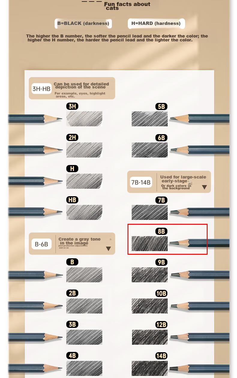 Deli Premium Drawing Pencils, 12 Pieces, 8B Sketching Pencils, Hexagonal Barrel Writing Black Pencils for Students, Art Sketching Engineering Drawing Pencils, Specialized for Beginners, Back-To Stationery 5
