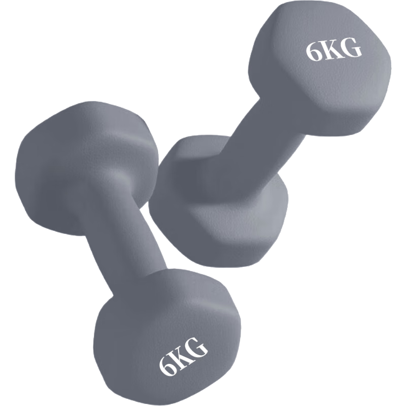 Chengyue Color-Coated Dumbbells for Men And Women, Home Fitness Muscle Arm Shaping, Light And Heavy Weight, Elegant Gray, 6kg*2 CY-572