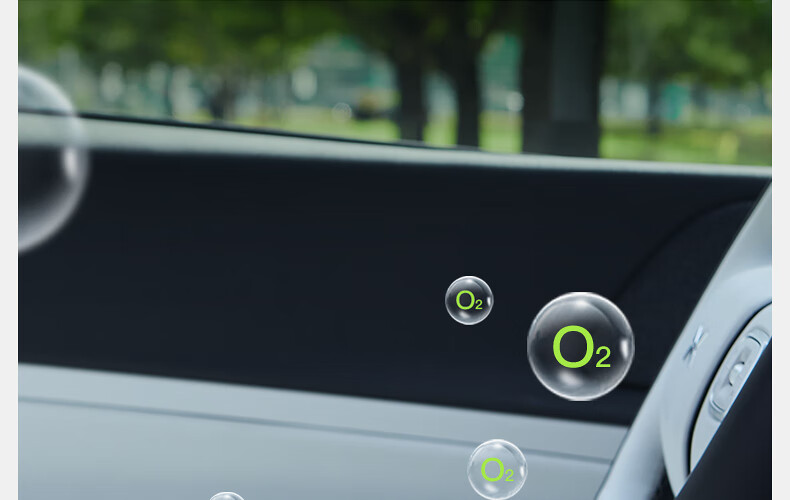 DGQ Car Air Purifier, Removes Odors from Cars, Eliminates Formaldehyde And Smells in New Cars, Uses Ozone to Remove Odors And Formaldehyde from Vehicles 23