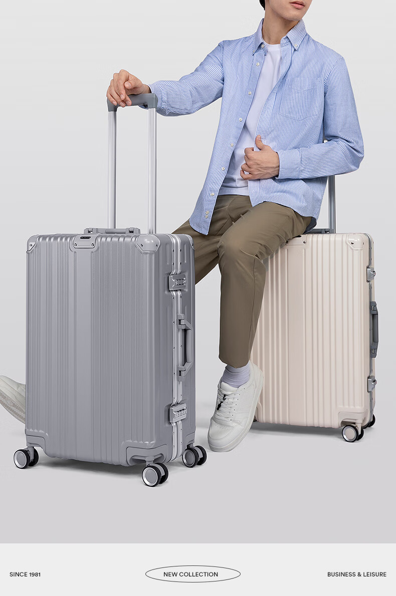 MEXICAN Aluminum Frame Suitcase, Unisex 24-Inch Trolley Case with Password Lock, Travel Luggage for Business Trips, Leather Suitcase, Check-In Luggage, Silver Color 9