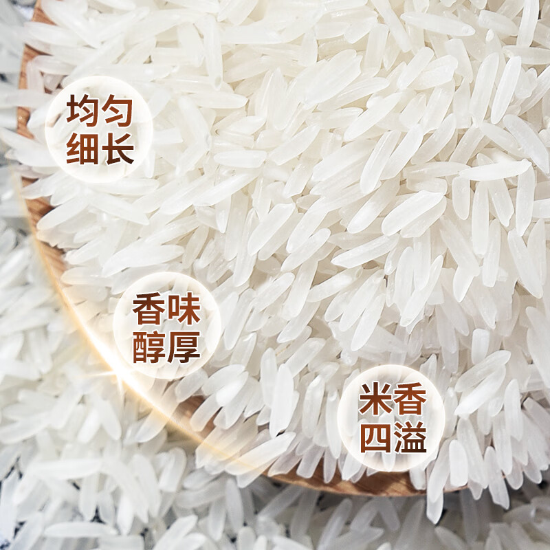 太粮 马坝银粘米  油粘米 大米 长粒籼米10斤 当季新米 京东自营