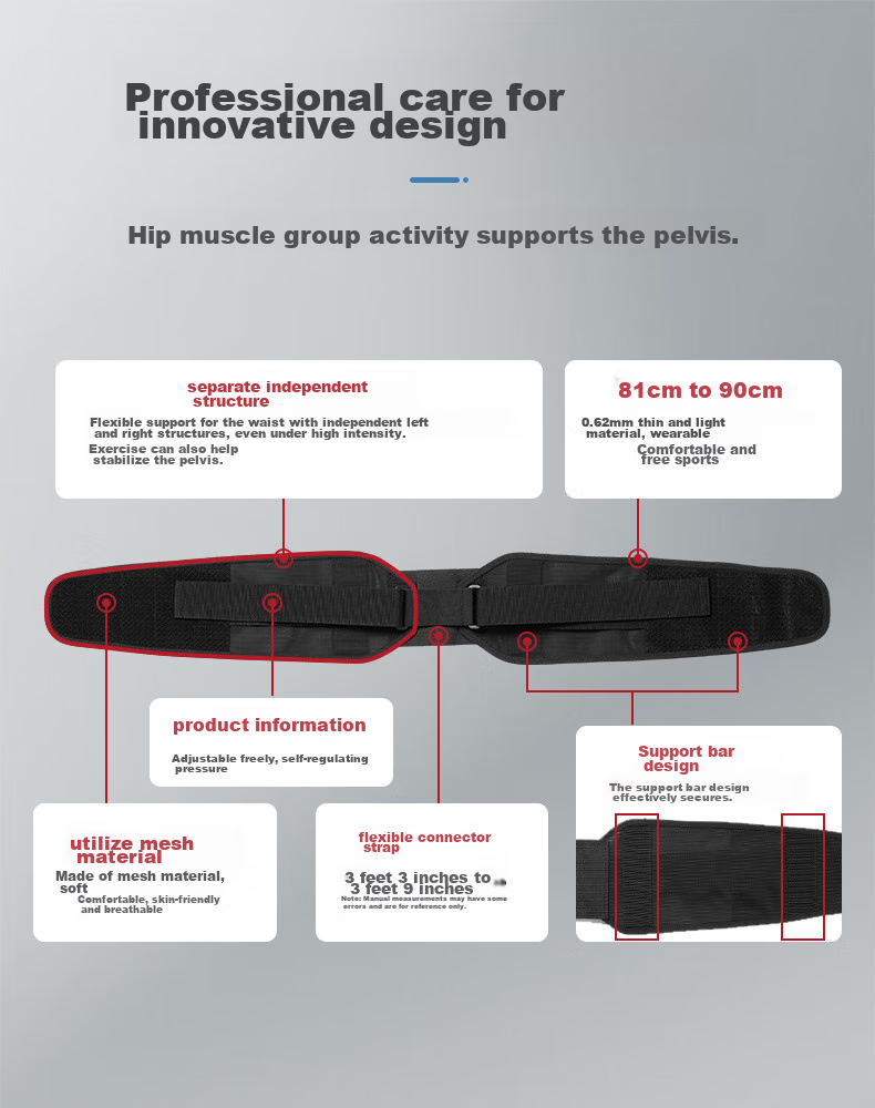 D&M Japanese Imported High-End Back Support Belt for Lumbar Disc, Spine, Herniated Disc, Double Fixed Support for Waist Muscles And Waist Compressio 4