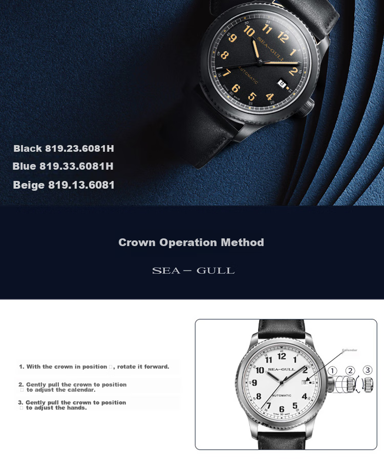 SEAGULL Men's Automatic Mechanical Watch with Date Display And Luminous Hands, Birthday Gift for Men 819.23.6081H 11