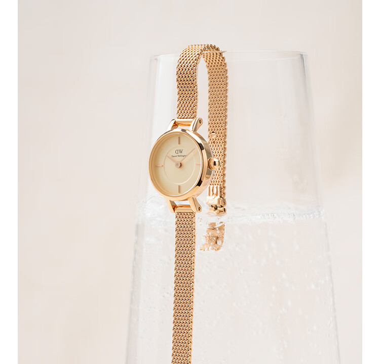 DanielWellington DW Ladies' Watch, Mini Round Sugar, Delicate Fashion European And American Wristwatch, Birthday Gift for Girlfriend, DW741 3